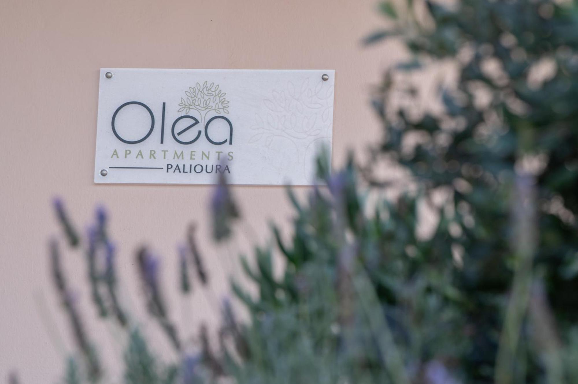 Olea Apartments Palioura エパノミ エクステリア 写真